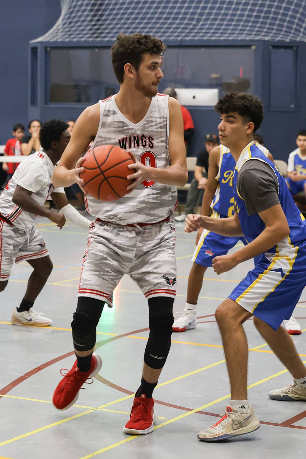 wings-basketball-pic-compresed